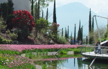 Botanischer Garten von Meran auf Schloss Trauttmansdorff